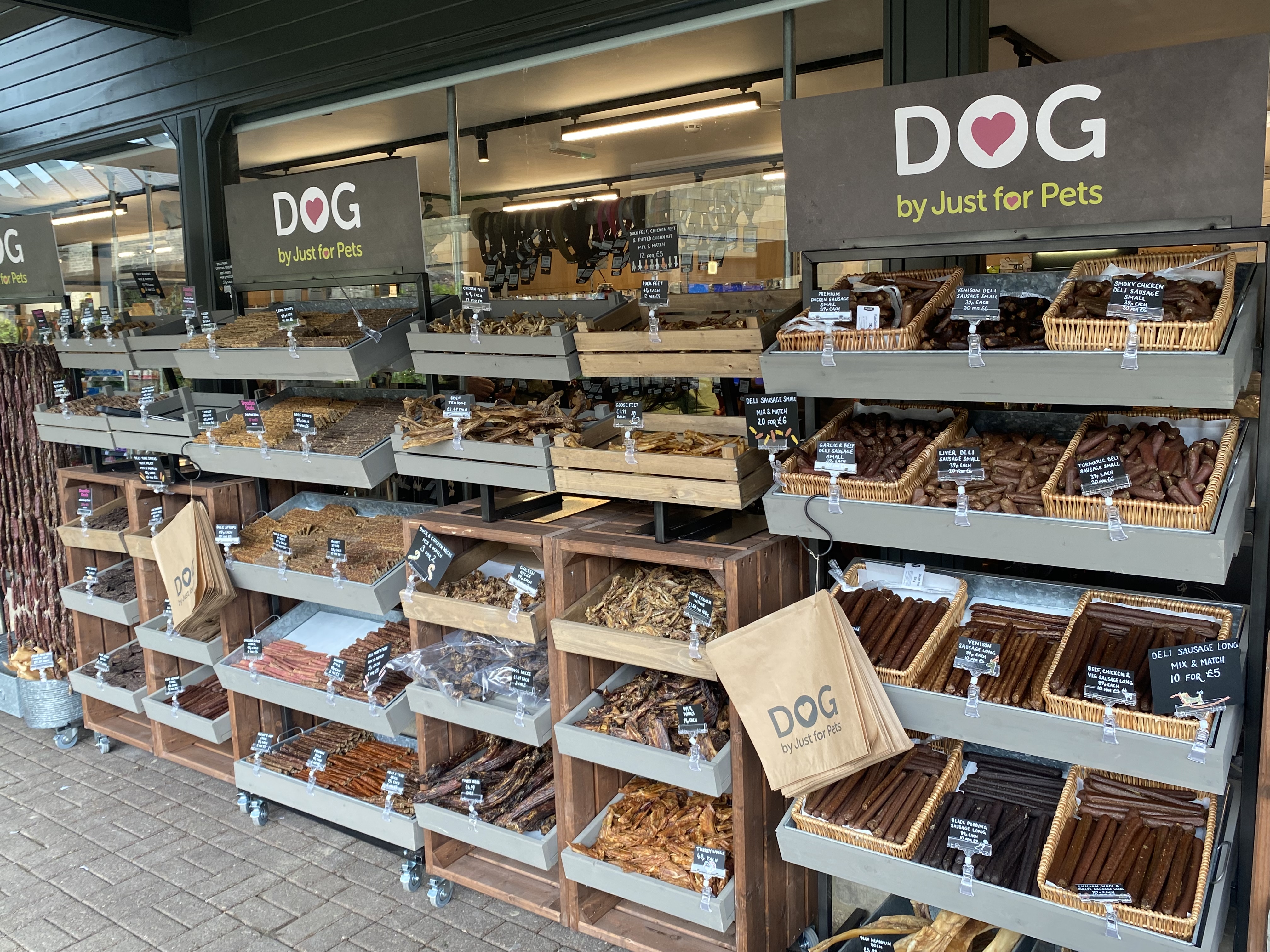 Dog store outlet